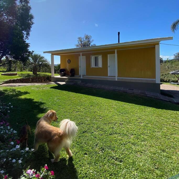 Вілла Casa Vigneto Octavio No Vale Dos Vinhedos Бенту-Гонсалвіс Екстер'єр фото