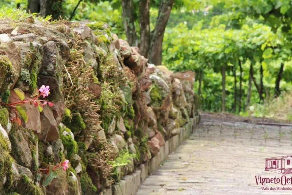Вілла Casa Vigneto Octavio No Vale Dos Vinhedos Бенту-Гонсалвіс Екстер'єр фото