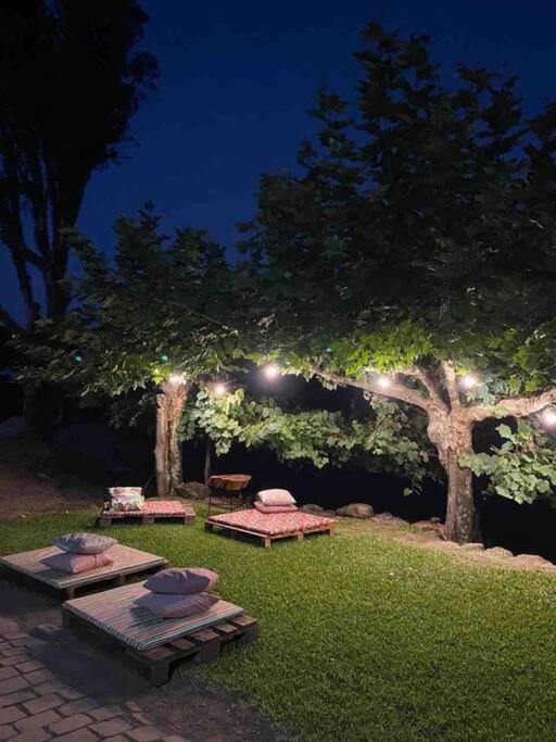 Вілла Casa Vigneto Octavio No Vale Dos Vinhedos Бенту-Гонсалвіс Екстер'єр фото