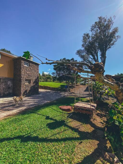 Вілла Casa Vigneto Octavio No Vale Dos Vinhedos Бенту-Гонсалвіс Екстер'єр фото