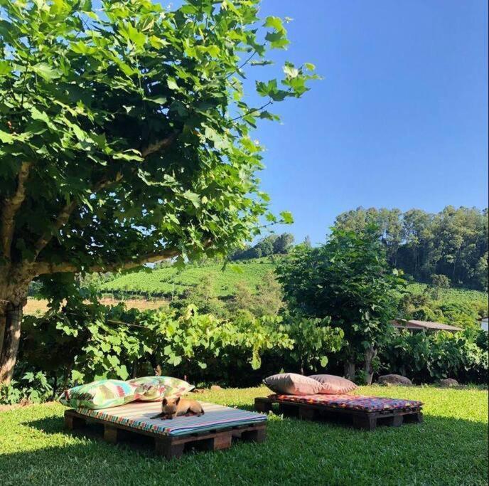 Вілла Casa Vigneto Octavio No Vale Dos Vinhedos Бенту-Гонсалвіс Екстер'єр фото